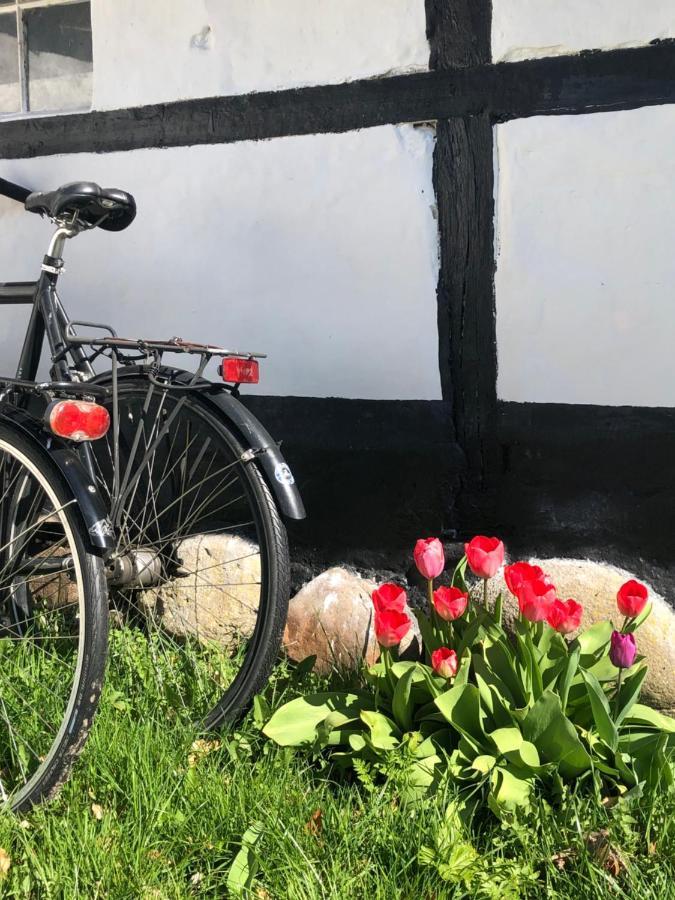 Apple Cottage Vejby المظهر الخارجي الصورة
