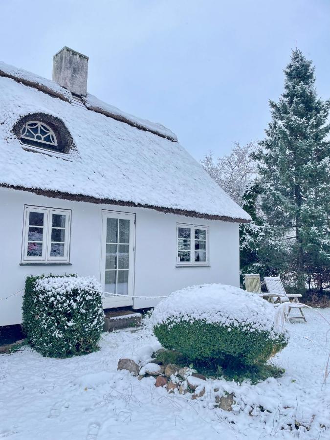 Apple Cottage Vejby المظهر الخارجي الصورة