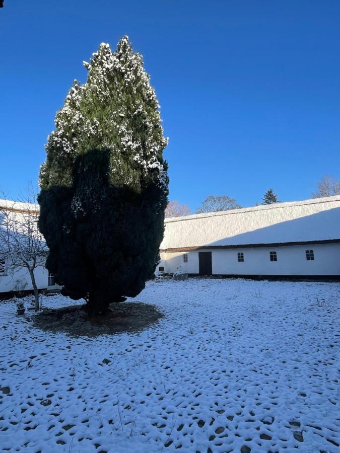 Apple Cottage Vejby المظهر الخارجي الصورة