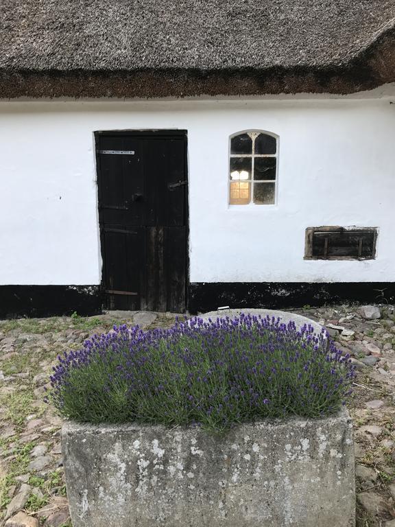 Apple Cottage Vejby المظهر الخارجي الصورة