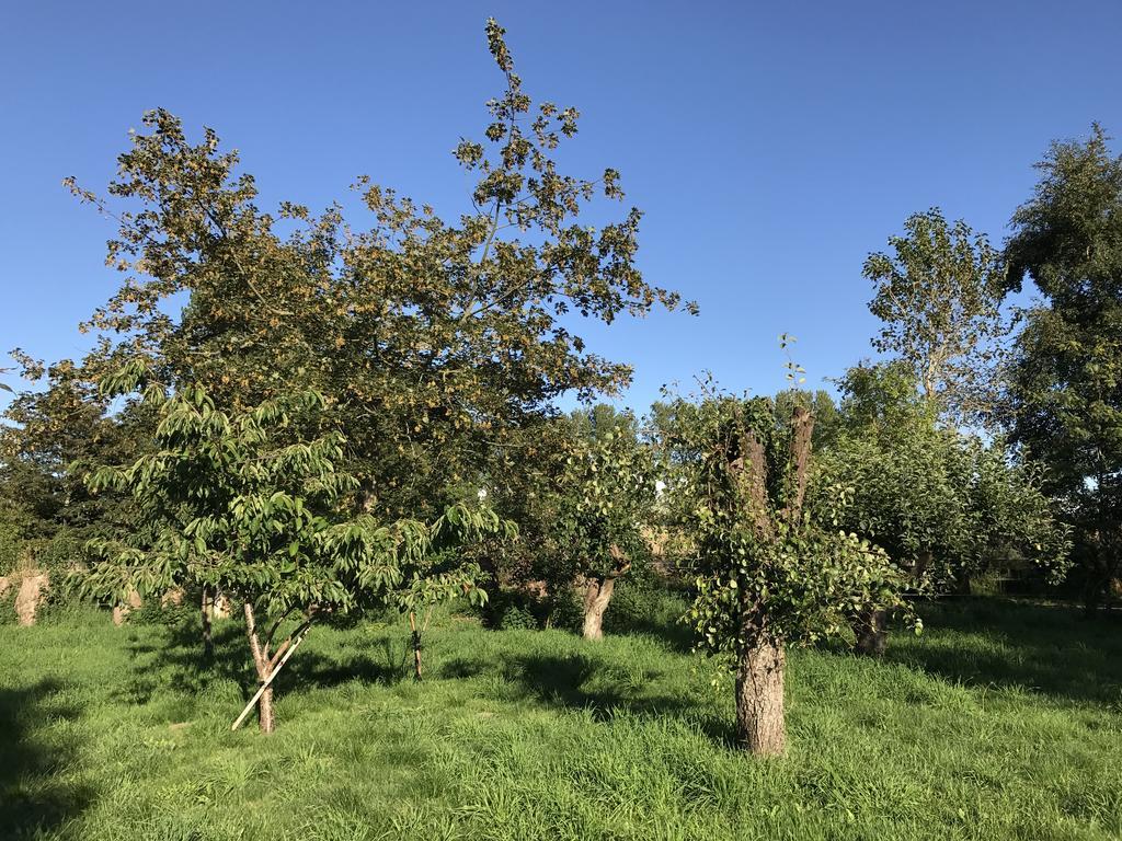 Apple Cottage Vejby المظهر الخارجي الصورة